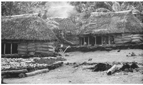 Fale houses in the village of Fituita.  Fale  homes were  traditionally built with coral pebbles for flooring and sugarcane roof  thatch.