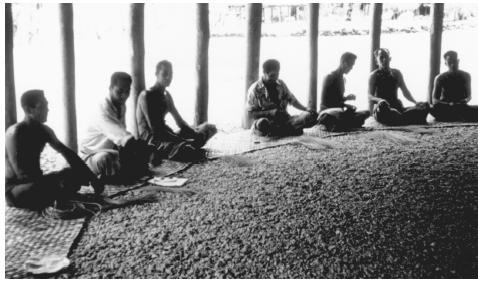 A village council meeting of chiefs. In American Samoa, village  leadership is the function of a council made up of the chiefs, or   matai,  of each household.