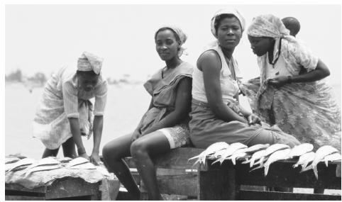 Một nhóm phụ nữ bán cá tại cảng Luanda. Nói chung, Angola phụ nữ đóng một vai trò quan trọng trong nông nghiệp và kinh doanh thực phẩm, trong khi đàn ông là những người chăn nuôi và người lao động tiền lương.