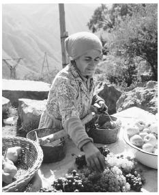 A woman sells fruit at a roadside stand. Armenia has focused on small-scale agriculture since gaining independence in 1991.