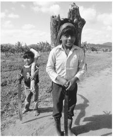 Two boys carry firewood in Maya Centre.
