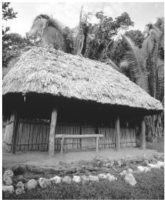The exterior of a healer's hut, Panti Maya Medicinal Trail. Most people go to Mexico or Guatemala for Western medical treatment.