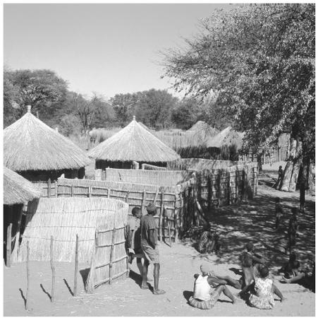 Villagers gather near thatch fences and huts in a Bayei village. Most urban residents still continue to maintain a house in their home village of origin.