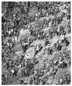 Thousands of saqueiros (sack carriers) working on the Serra Pelada gold mine, which is now closed. Gold was one of the most important exports in the eighteenth century.