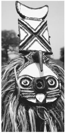 A Bobo wears a fish mask and a cape made of vegetable fiber for an agricultural festival. The Bobo are the largest ethnic group in western Burkina Faso.