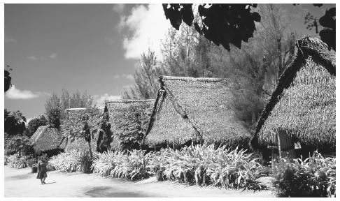 Thatched cottages and plants line a street in New Jerusalem, Aitutaki. These are some of the last remaining examples of traditional houses, called  Kikau.