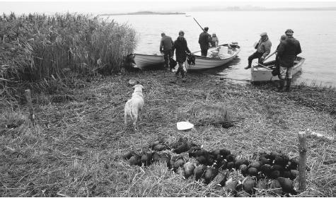 Some Danes, such as these hunters near Alborg, enjoy outdoor leisure activities.