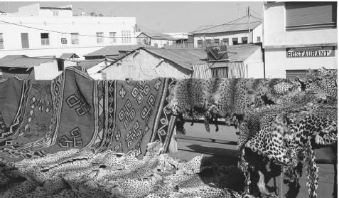 Tourists may purchase leopard skins and rugs at a market in Djibouti City.