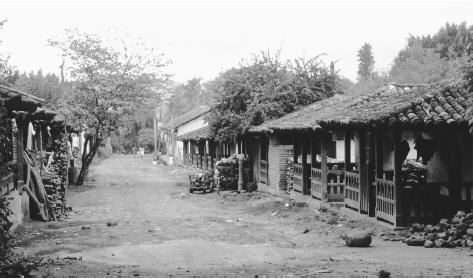 A road through the village of El Jocotal. Rural housing is typically built of adobe and features a large front porch.