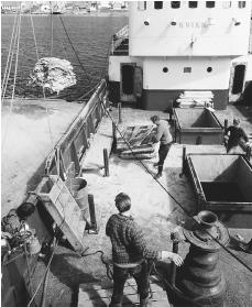 Unloading a catch of salt cod in the Faroe Islands. Fish and fish products are the country's chief exports.