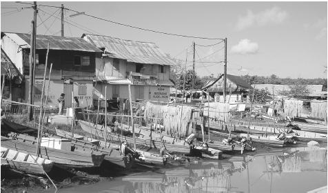 Fishing boats are moored on the bank of Laussat Canal, and fishing nets hang out to dry in Cayenne. Shrimp and fish processing are major industries in the country.