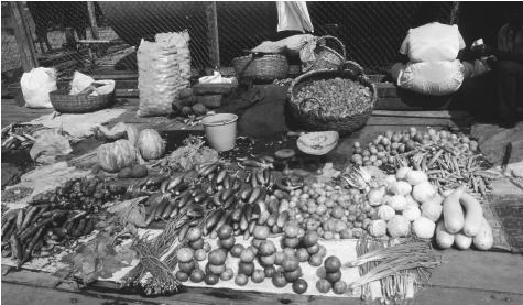 Produce displayed for sale at a market in Parika Quayside. Agriculture is Guyana's principal commercial activity.