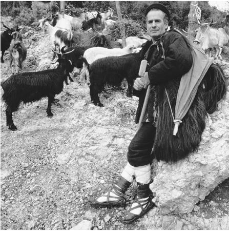 A mountain shepherd with goats in Lenola, circa 1985. After World War II, Italy began moving from an agricultural economy to an industrial economy.