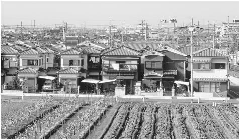 Irrigated fields in front of a housing development near Kyōto. Only about 15 percent of Japan is level enough for agriculture.