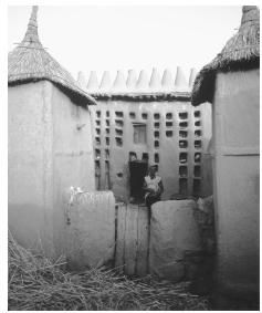 While architectural styles in Mali vary, most buildings are made of sun-baked clay.