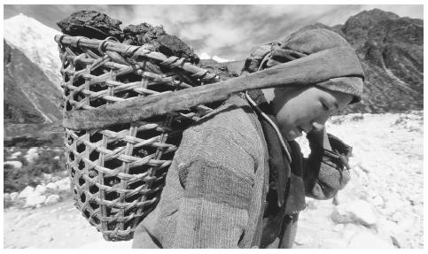 A Nepalese person carrying a wicker basket filled with fuel.