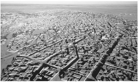 An aerial view of Agadez. Architecture reflects traditional regional and sedentarized-nomadic differences.