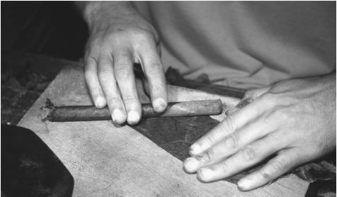 A man hand-rolls cigars for the Bayamón Tobacco Corporation, the last family-owned cigar producer in Puerto Rico. They produce five thousand cigars per day.