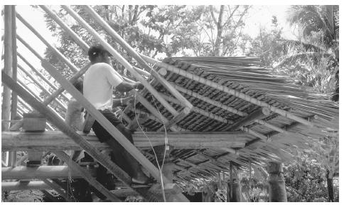Workers tying thatch onto a new house in Honiara, Guadalcanal.