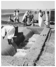 Several people gather at an irrigation canal in Gezira. The northern part of the country is desert.