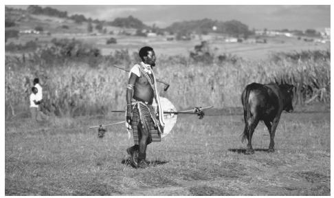 A Swazi warrior dressed in traditional costume. Males are very dominant in all aspects of Swazi society.