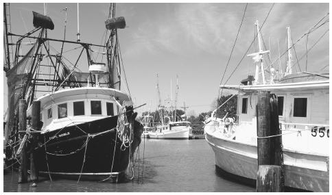 Fishing boats are anchored in the Lafourche Bayou in Cajun Country, Louisiana. Fishing is an important part of the Lousiana economy.
