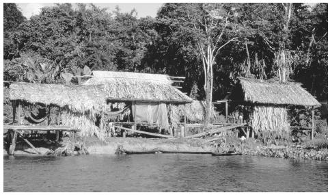 Thatched huts along the shore of a river. This type of dwelling is  home to the indigenous peoples of Venezuela.