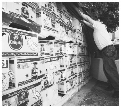 Guatemalan American Julio Recinos volunteers to cover banana boxes filled with canned food for victims of hurricane Mitch