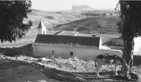 A donkey grazes outside a farmhouse in Gibraltar. Most of the colony's four square miles of land consists of rock.