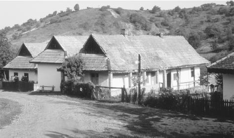 Houses in the village Holloko in northern Hungary in 1980. At the end of the twentieth century more than half of Hungarians grew food for their own use and for supplemental income.