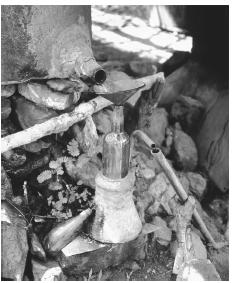 A woodland ylang-ylang perfume distillery. Ylang-ylang is the island's principal agricultural export.