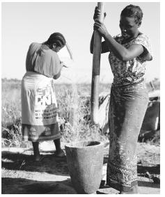 Workers at a rice co-operative in Mozambique. Agriculture is the largest industry.