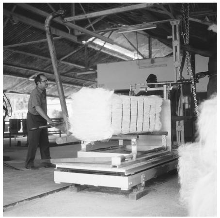 Manufacturing sisal at the Amboni Estate in Tanzania.
