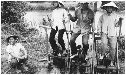 Agriculture is one of the few areas in which men and women share tasks in Vietnamese culture.