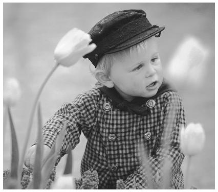 Dressed in traditional Dutch garb, one-year-old Micah Zantigh inspects tulips at the Tulip Festival in Pella, Iowa.