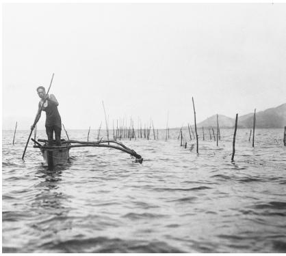 Canoes have figured prominently in the marine culture of the native Hawaiians.