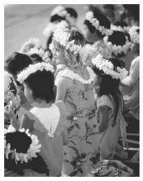 These Hawaiian children are gathered in celebration of  Lei Day.